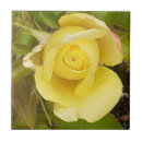 Suche nach gelbe rose fliesen Blüten