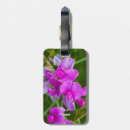 Suche nach orchideen gepäckanhänger Blume