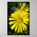 Suche nach rebellen poster Für alle