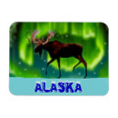 Suche nach moose magnete Grün