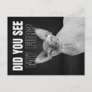 Suche nach sphynx katze postkarten Für alle