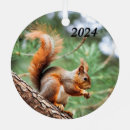 Suche nach eichhörnchen ornamente Fuchs