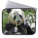 Suche nach panda laptop schutzhüllen Personalisiert