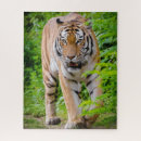 Suche nach erwachsener puzzle Fleischfresser