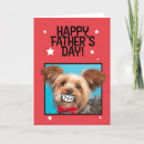 Suche nach yorkie hund Niedlich