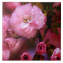 Suche nach rosa kirschblüte fliesen Für sie