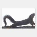 Suche nach lustige eichhörnchen aufkleber Natur