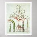 Suche nach 17 jahrhundert poster German