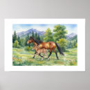 Suche nach fohlen poster Pony
