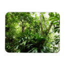 Suche nach regenwald magnete Jede person