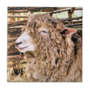 Suche nach schuhe fliesen Tiere