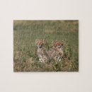 Suche nach kenia puzzle Umwelt