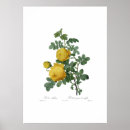 Suche nach flora vintag poster Viktorianisch