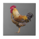 Suche nach rooster fliesen Küche