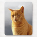 Suche nach portrait mousepads Für alle