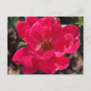 Suche nach fantastische blumen postkarten Niedlich