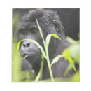 Suche nach afrika notizblock Nationalpark