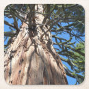 Suche nach der riese untersetzer Natur