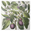 Suche nach veg fliesen Deutsch