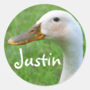 Suche nach justin aufkleber Junge