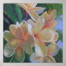 Suche nach hawaii blume poster Flora
