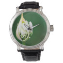 Suche nach afrikanische uhren Blume