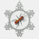 Suche nach ameisen ornamente Lustig
