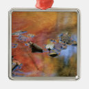 Suche nach usa ornamente Herbst