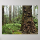 Suche nach wachs poster Horizontal
