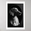 Suche nach weimaraner poster Geweih