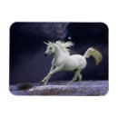 Suche nach fantasie einhorn magnete Pferd