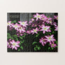 Suche nach klettern puzzle Fotografie