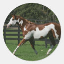 Suche nach paint horse aufkleber Reiter