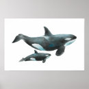 Suche nach orca poster Ozean