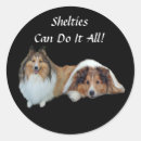 Suche nach sheltie aufkleber Die shetlandinseln schäferhund