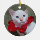 Suche nach siamesisch ornamente Miezekatze