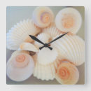 Suche nach sea wanduhren Shells
