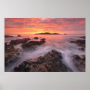 Suche nach korken poster Ireland