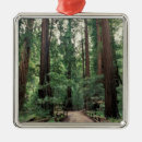 Suche nach wood ornamente Natur