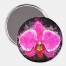 Suche nach rosa orchidee magnete Blüte
