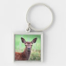 Suche nach rotwild schlüsselanhänger Farbbild