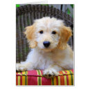 Suche nach goldenes gekritzel Hund