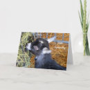 Suche nach baby beileidskarten Ziege