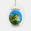 Suche nach singvogel ornamente Wildnis