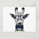 Suche nach sehr lustige giraffe postkarten Jede person