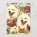 Suche nach samoyed postkarten Besonnen
