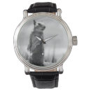 Suche nach der eichhörnchen uhren Wild