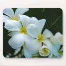 Suche nach frangipani mousepads Weiß