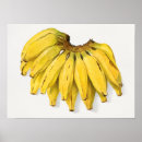 Suche nach gelbe banane poster Bananen