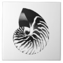 Suche nach nautilus muschel fliesen Seashell